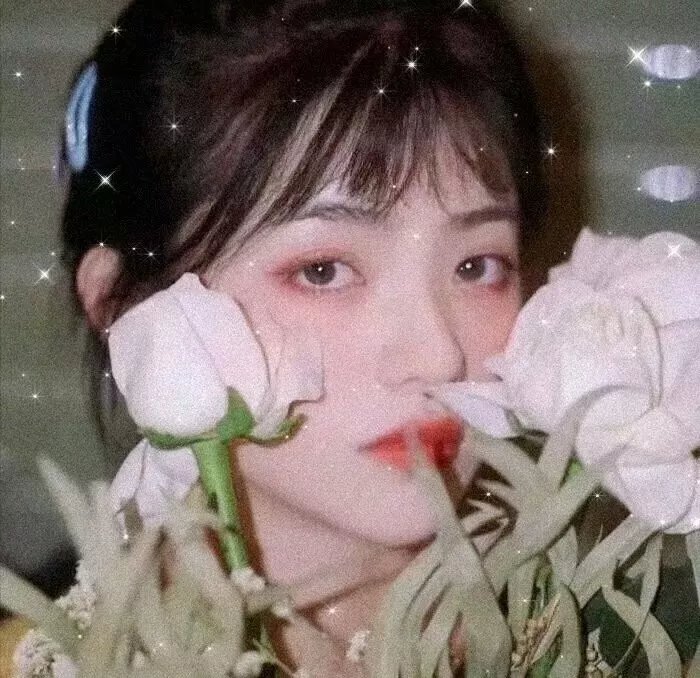 高校功夫女神